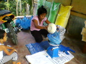 Woman is weighing the rice to be  shared at barangay Obujan.
