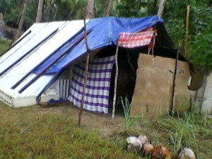 Temporary shelter erected.